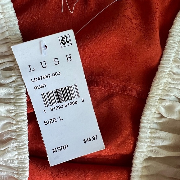 Lush Colorblock Copper Orange & Cream Satin Maxi Slipdtesd Size L NWT - Picture 5 of 6
